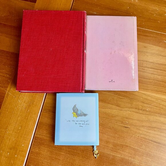 Vintage Books, Gifts for Grandmothers, Grandmother Gift, Granddaughter Books - Picture 7 of 9